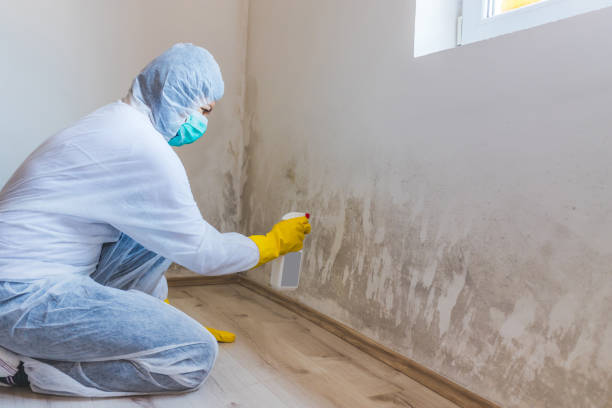 Hvac And Air Duct Mold Remediation inspection of HVAC system in Roxbury Crossing
